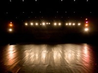 Community Support and the Theatre